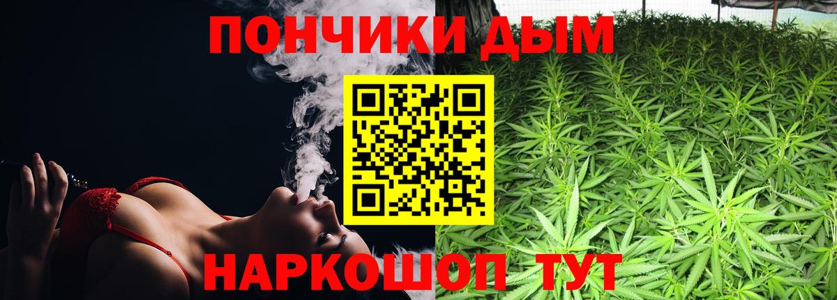Каннабис семена  Вход с VPN  Углич  Бошки Шишки White Widow  Канабис VHQ  Шишки марихуана семена 
